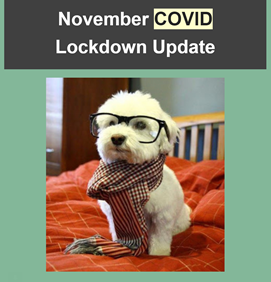 Email Headings Lockdown Dog